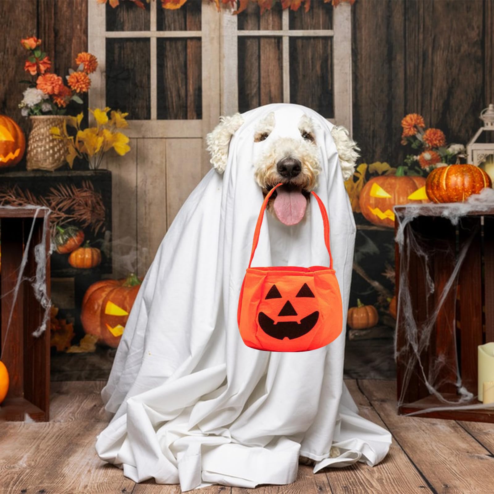 Halloween-Hundekostüm Geist Mit Kürbis-Tasche | Weißes Geister-Kostüm Für Hund & Katze, Größe M, 2-teilig