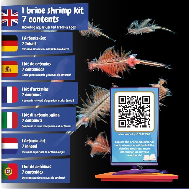 Foto 2 de 6 de Science4you Artemia Criaturas Acuáticas