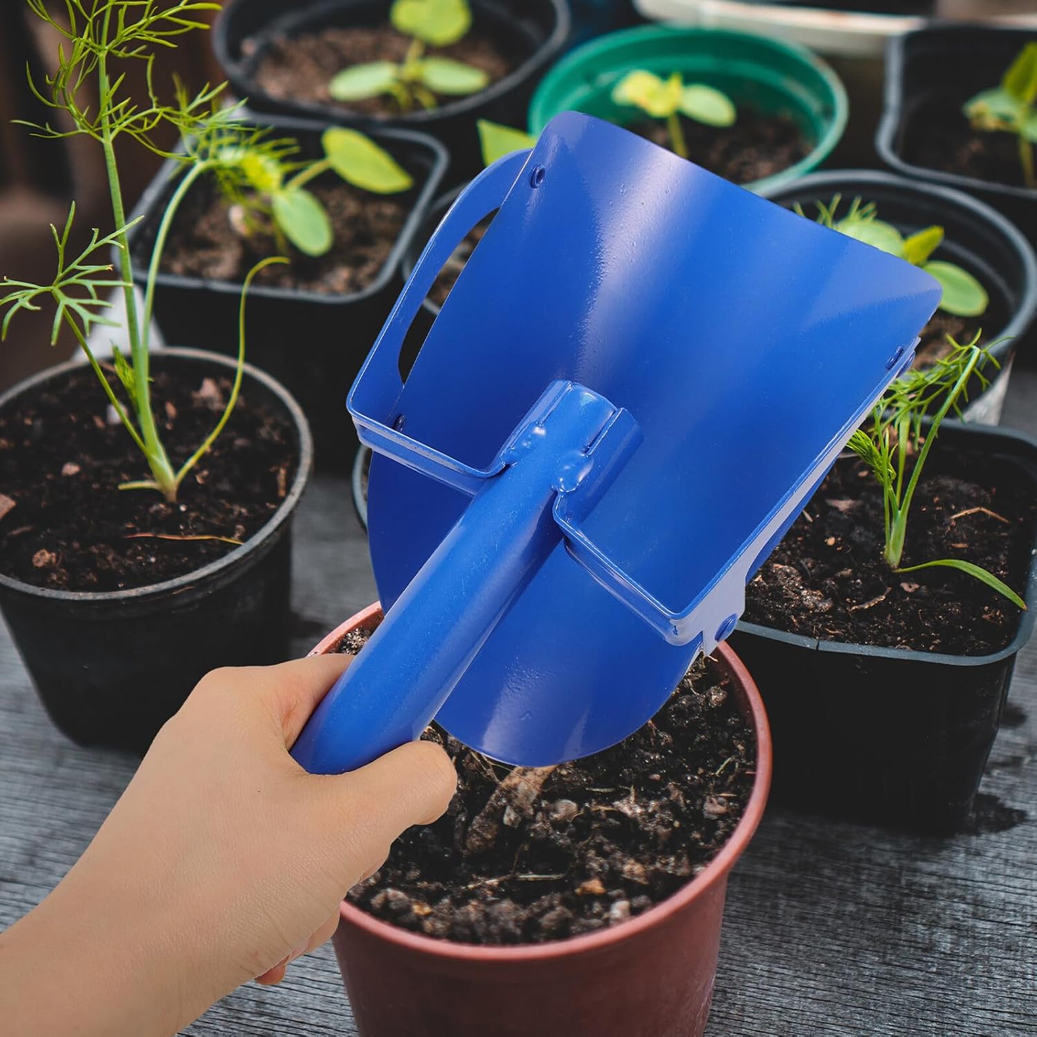 Kisangel Carbon Steel Shovel and Small Gardening Shovel with Plastic Handle, Potting and Planting Yard Tool for Home Garden Cultivation and Soil Digging