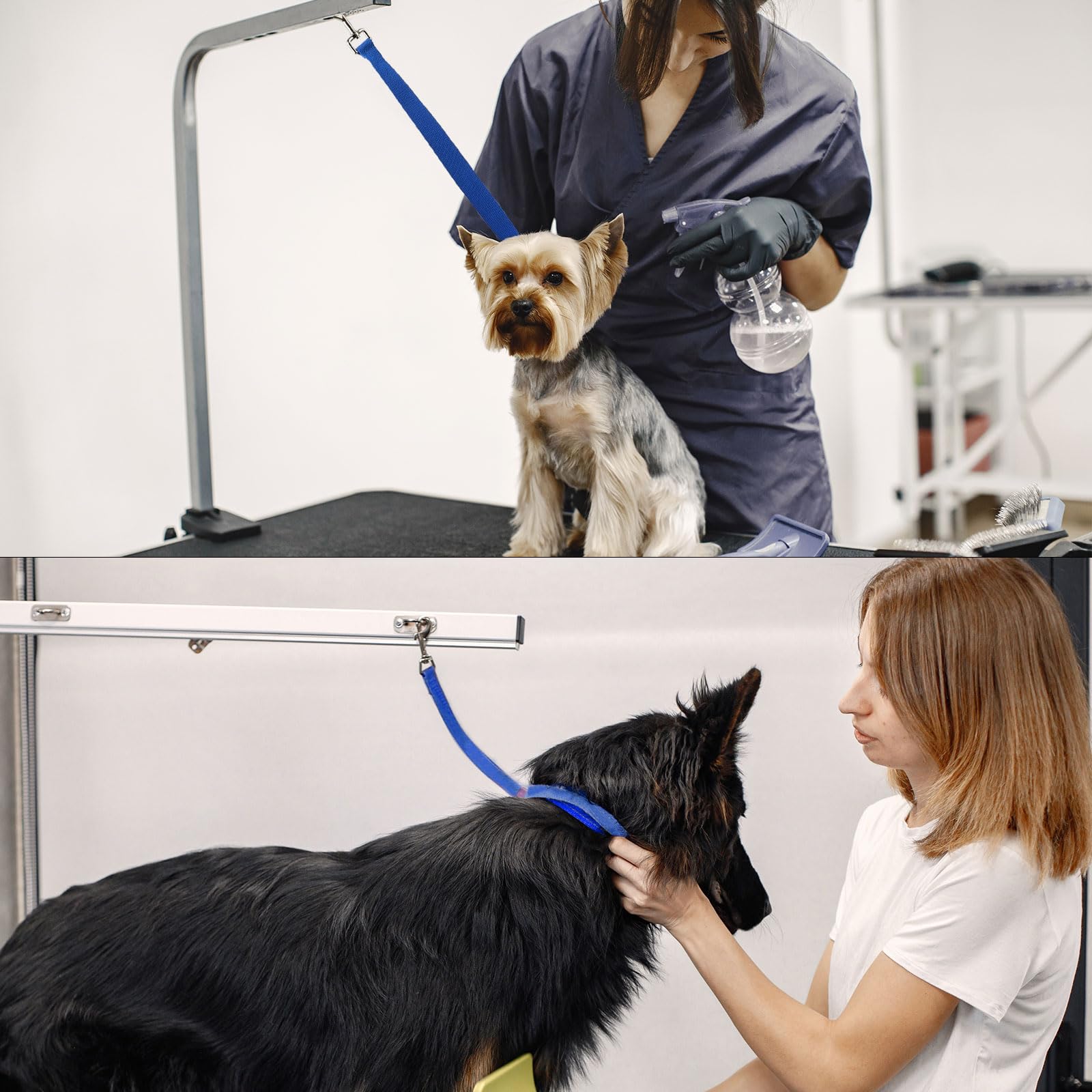 Cuerda De Sujeción Ajustable Para Perros Y Gatos, Lazo De Aseo Profesional  Para Mascotas, Arnés De, image size:1600x1600