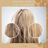 Vista 7 de VoilaVe Champú marroquí de aceite de argán, champú sin sulfatos para el crecimiento del cabello, champú hidratante y reparador para cabello seco