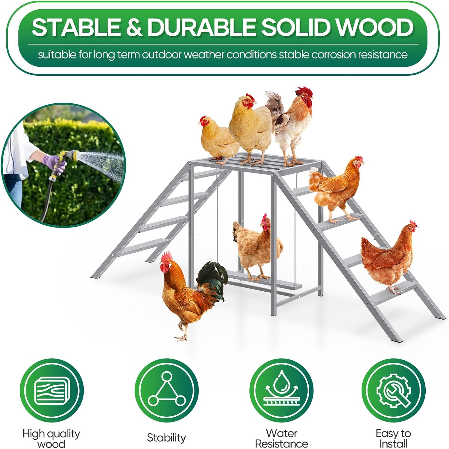 Stable and Durable Solid Wood construction of the chicken perch.