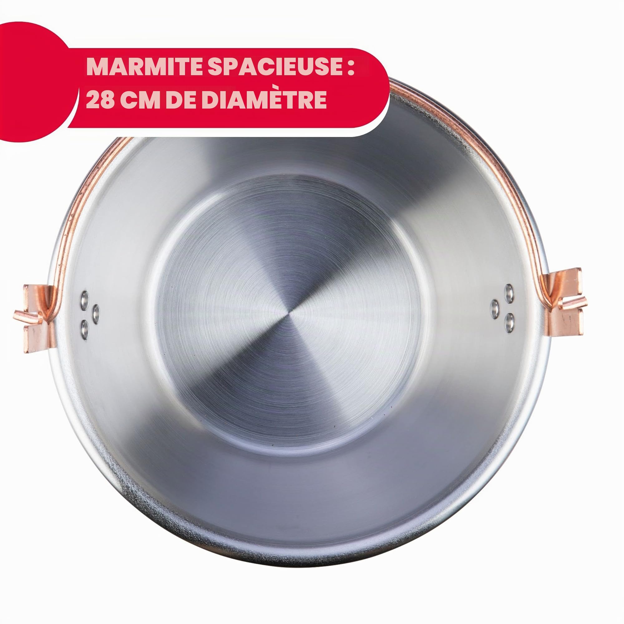 ARDES - AR24AM81 Chaudron Acier INOX Diamètre 28cm Mélangeur Polenta Confiture, Ardes Chaudron pour Foyer à Induction, Mélangeur avec Moteur Électrique, Raccord à Baïonnette Facile à Nettoyer