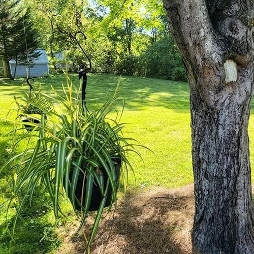 Miniatura 5 de EZLAD Ganchos grandes en S de 6 pulgadas (paquete de 6), ganchos negros con revestimiento de vinilo antideslizante para colgar plantas, ollas,