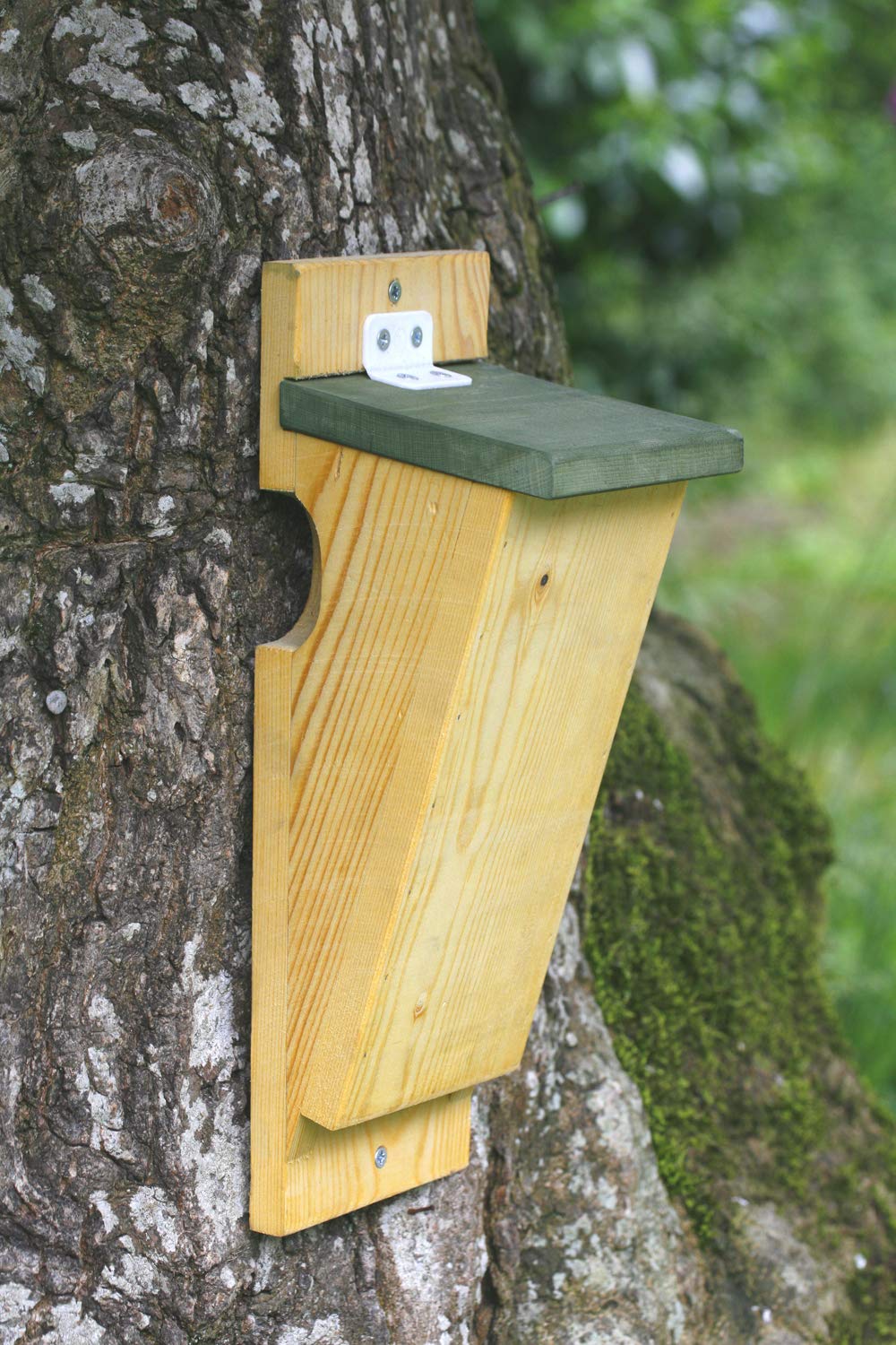 CJ Wildlife Treecreeper Bird Box for Gardens – Bird Nesting Box – FSC® 100% Wood Brown/Green – Weather-Smart Design with Clever Drainage