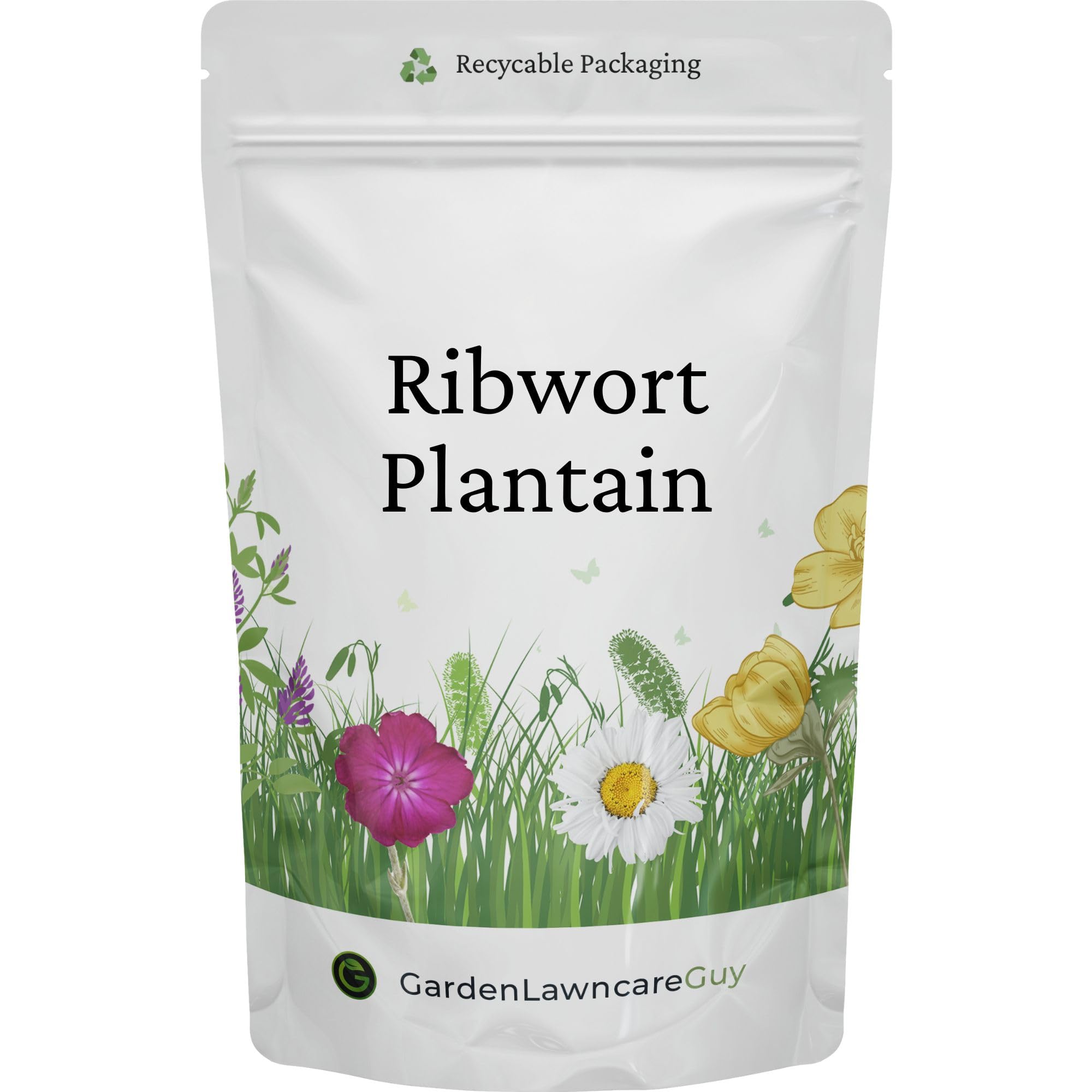 Ribwort Plantain Seed – High-Fibre Forage Feed for Tortoises, Rabbits, Guinea Pigs & Reptiles (Plantago Lanceolata) 100 Grams