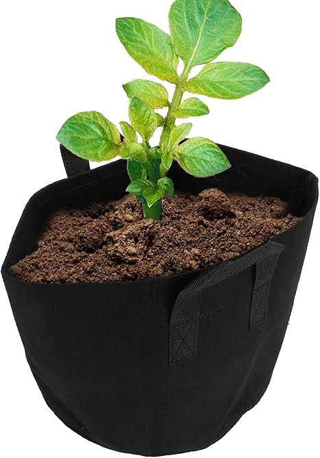 Amazon 苗袋 にんじん玉ねぎの野菜用分解性植栽袋 美植袋1 5 Gallons F30 25 プランター Amazon 苗袋 にんじん玉ねぎの野菜用分解性植栽袋 美植袋1 5 Gallons F30 25 プランター