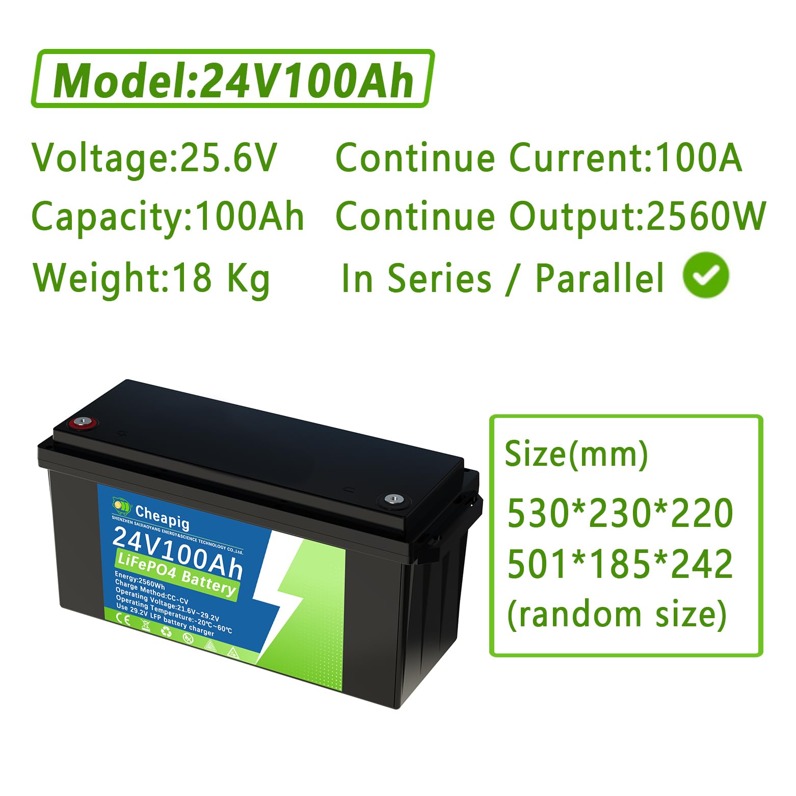 Batteria Litio 24V 100Ah Lifepo4 con 100A BMS | Protezione da Bassa Temperatura,3000+ Cicli,per Solari Domestici, Caravan, Campeggio