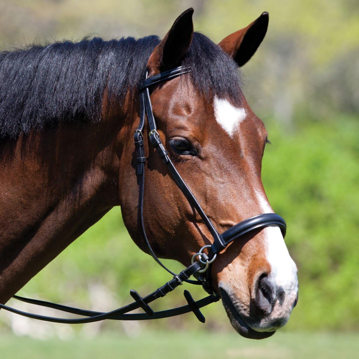 English Bridle Cowhide Genuine Leather Headstall Reins Horse Crossover Crossunder Raised Fancy Stitched Laced All Purpose Jumping Dressage Rubber Crystal Padded Adjustable Browband Full-Cob,M81