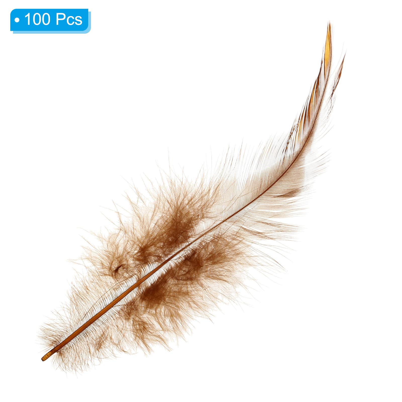 PATIKIL Plumes De Coq De 3 À 5 Pouces, 100 Pièces En Gros