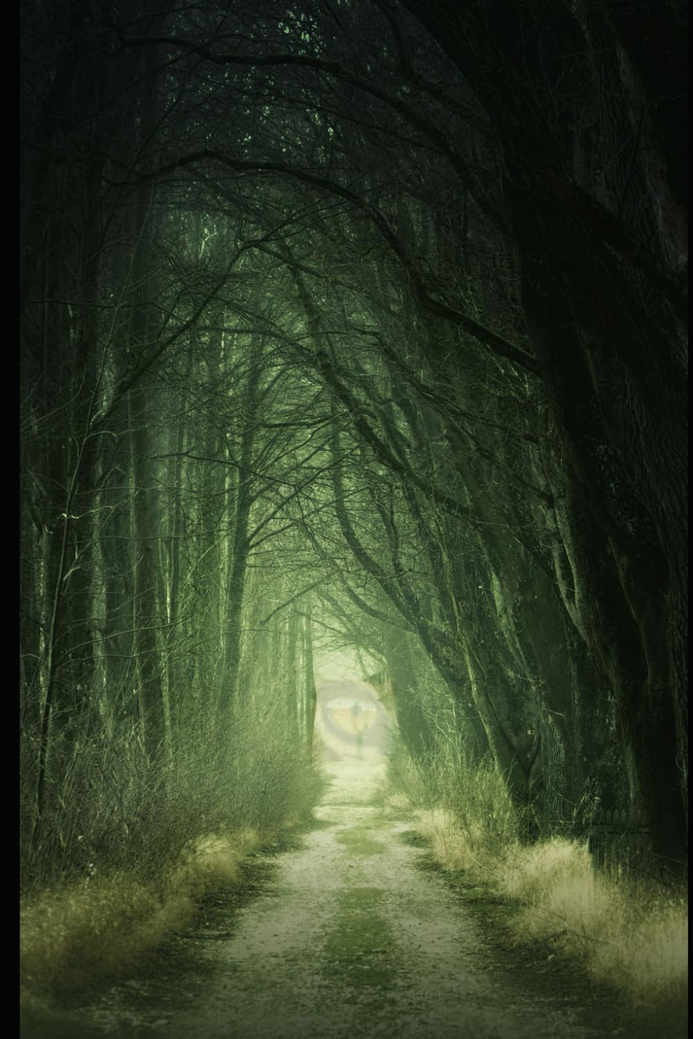 The Twenty-five Percent