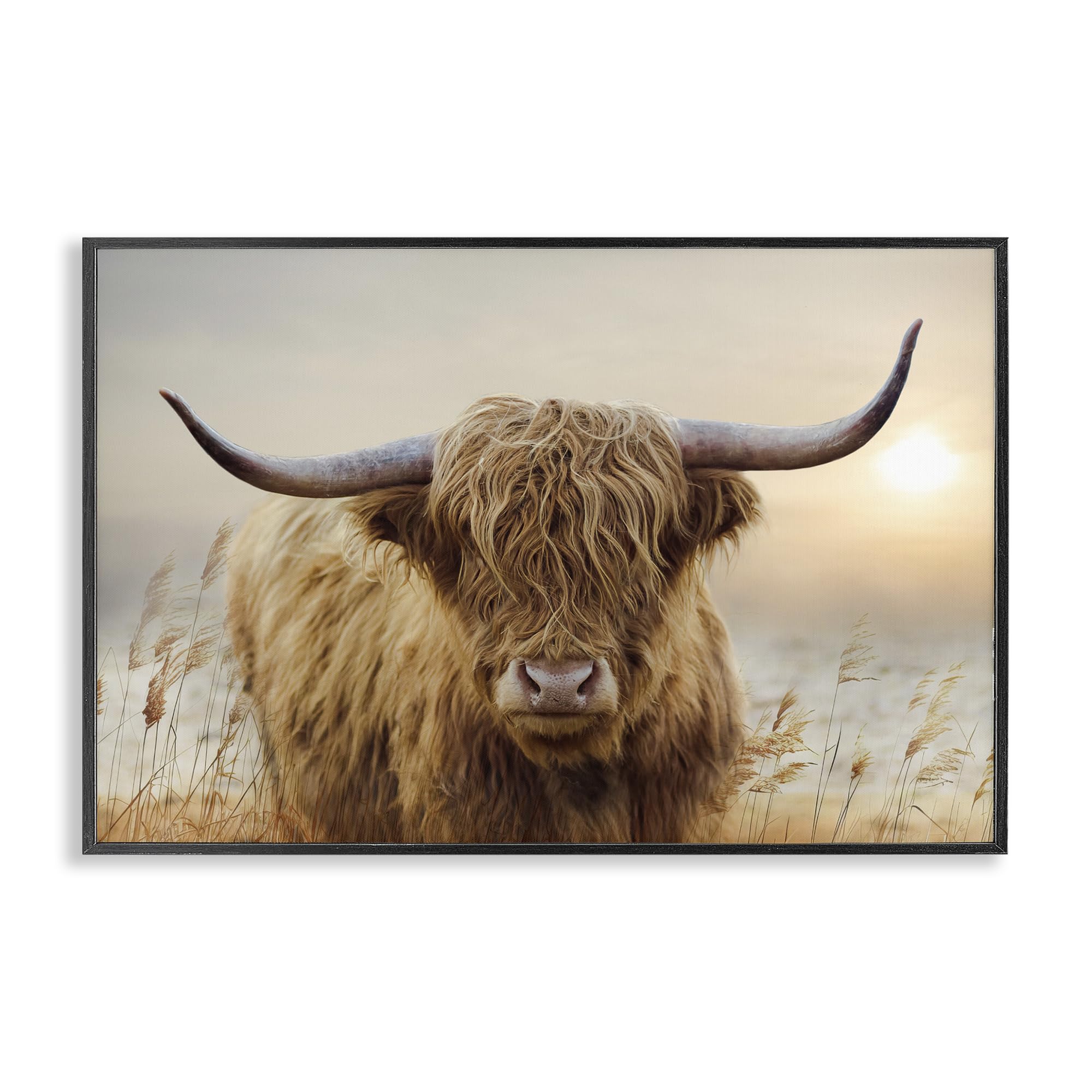 Stupell Industries Midnight Black (Textured) Highland Cow Warm Sunset Landscape, 16 X 24 Inch Framed Giclée Print