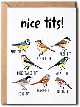 OystersPearl Nice Tits Bird Card - Nice Tits Card Fowl Language Bird Card - Gift For Bird Lovers - Bird Card - Nice Tits Card - Bird Lover Card