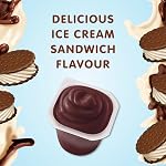 Snack Pack Sandwich à la crème glacée Dessert pudding, 12 x 4-Pack 99 Coupes de gramme