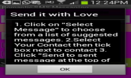 Romantic SMS Messaging – vue 2