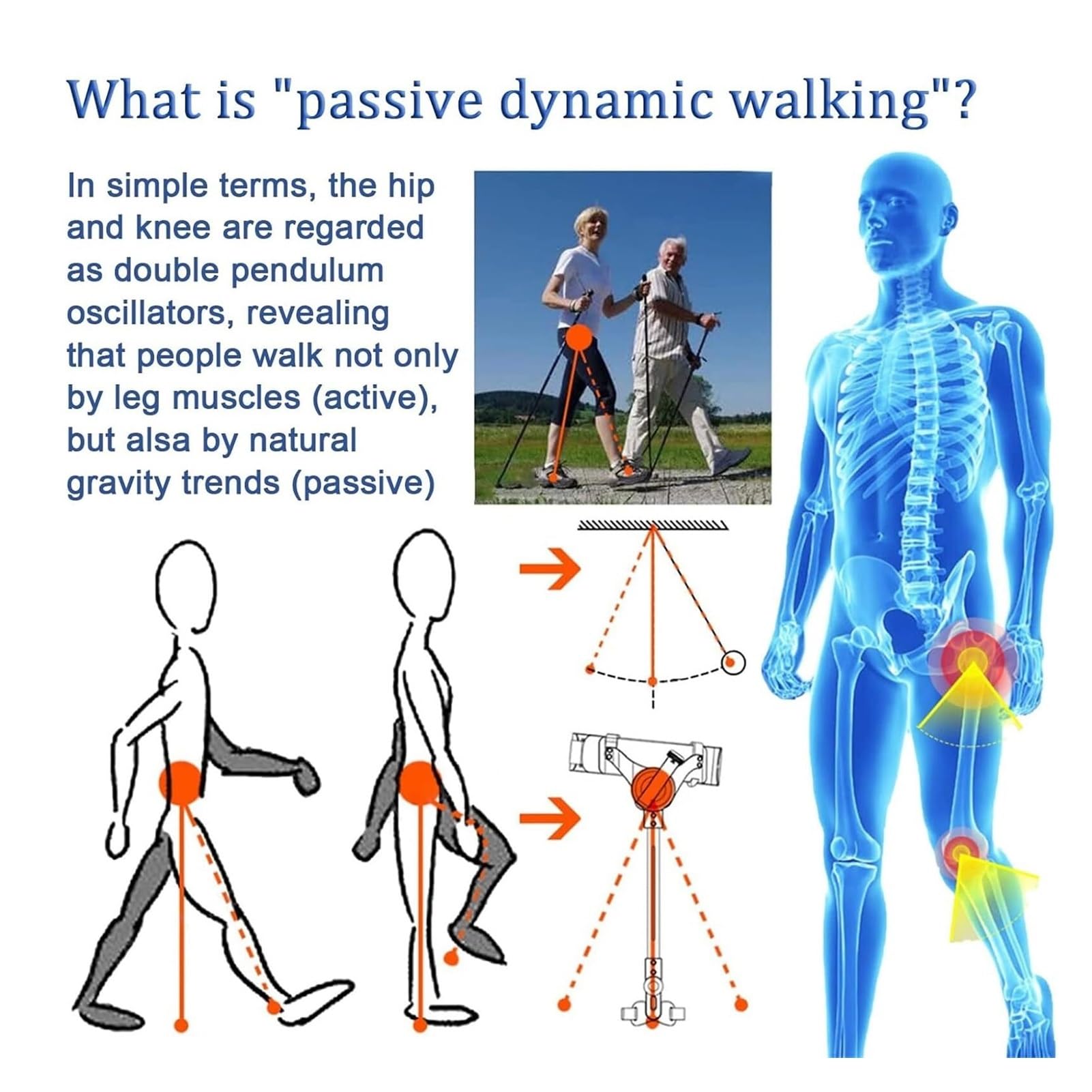 Ausilio Mobilità Anziani, Supporto Bionico Regolabile Gambe | Struttura leggera in carbonio, assistenza movimento passivo, casa e passeggiate, adulti, design ergonomico