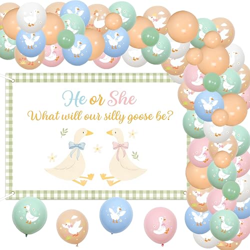 Silly Goose Gender Reveal Balloon Garland Kit,He or She Goose Theme Balloon for 