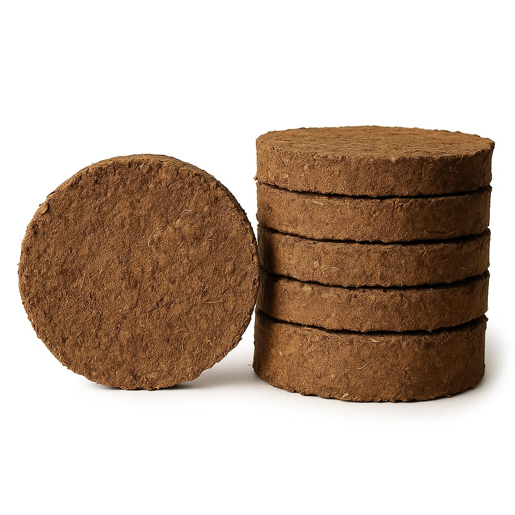 Sujavan Pack of 30 - Cow Dung for Hawan & Puja | 100% Natural, Eco-Friendly | Holy Cow Dung for Havan Kund, Pooja, Agnihotra-picture-22