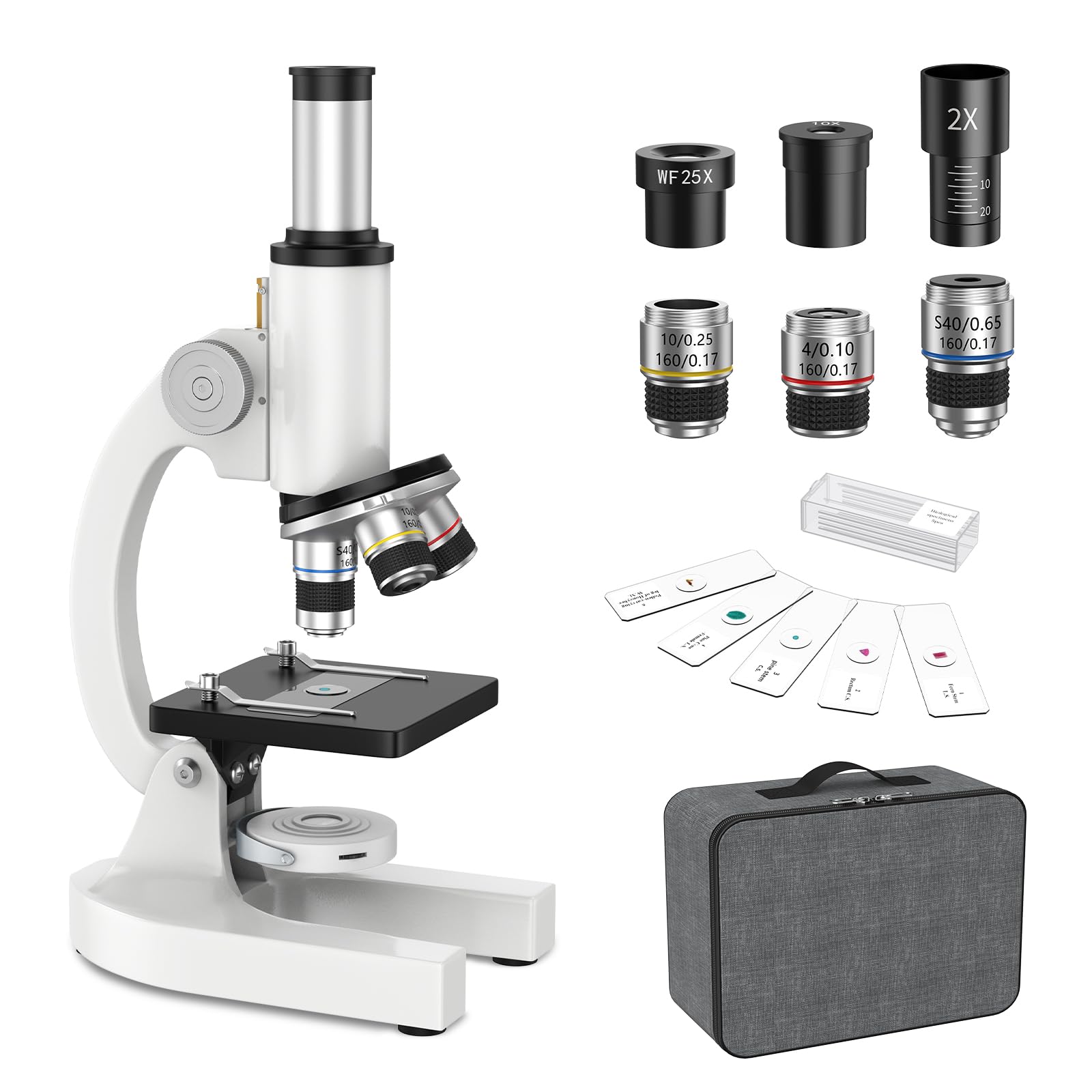 Microscopio per Bambini Adulti Principianti: Microscopio Biologico Composto 40-2000X con Kit Diapositive e Custodia per lo Stoccaggio - per Esplorare la Scienza e l'Educazione
