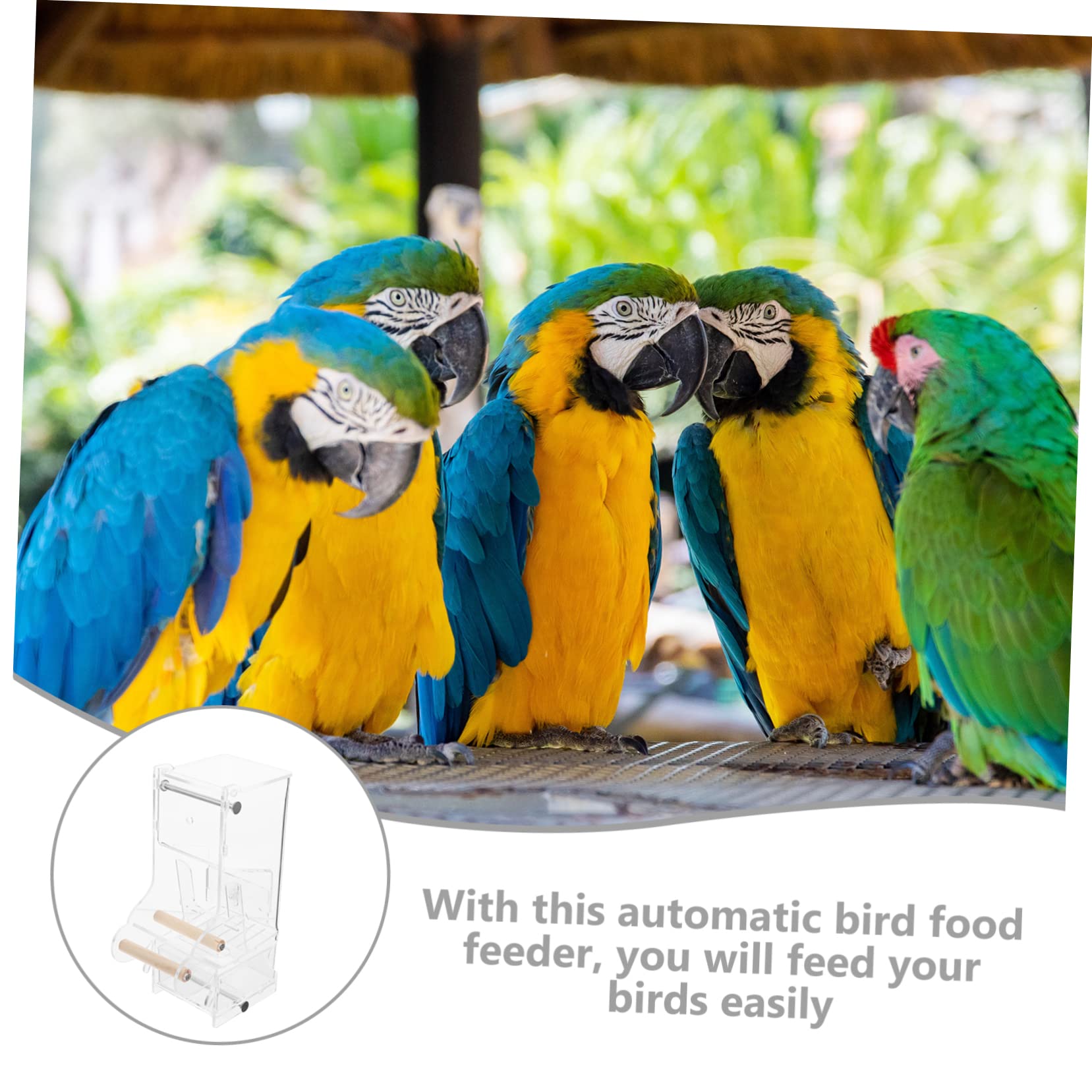 Automatischer Vogel Futterspender Für Kleine Vögel Papageien Futterstation Mit Sitzstange Lösung Für Fütterung Von Kanarienvögeln Und Anderen Kleinen Vögeln