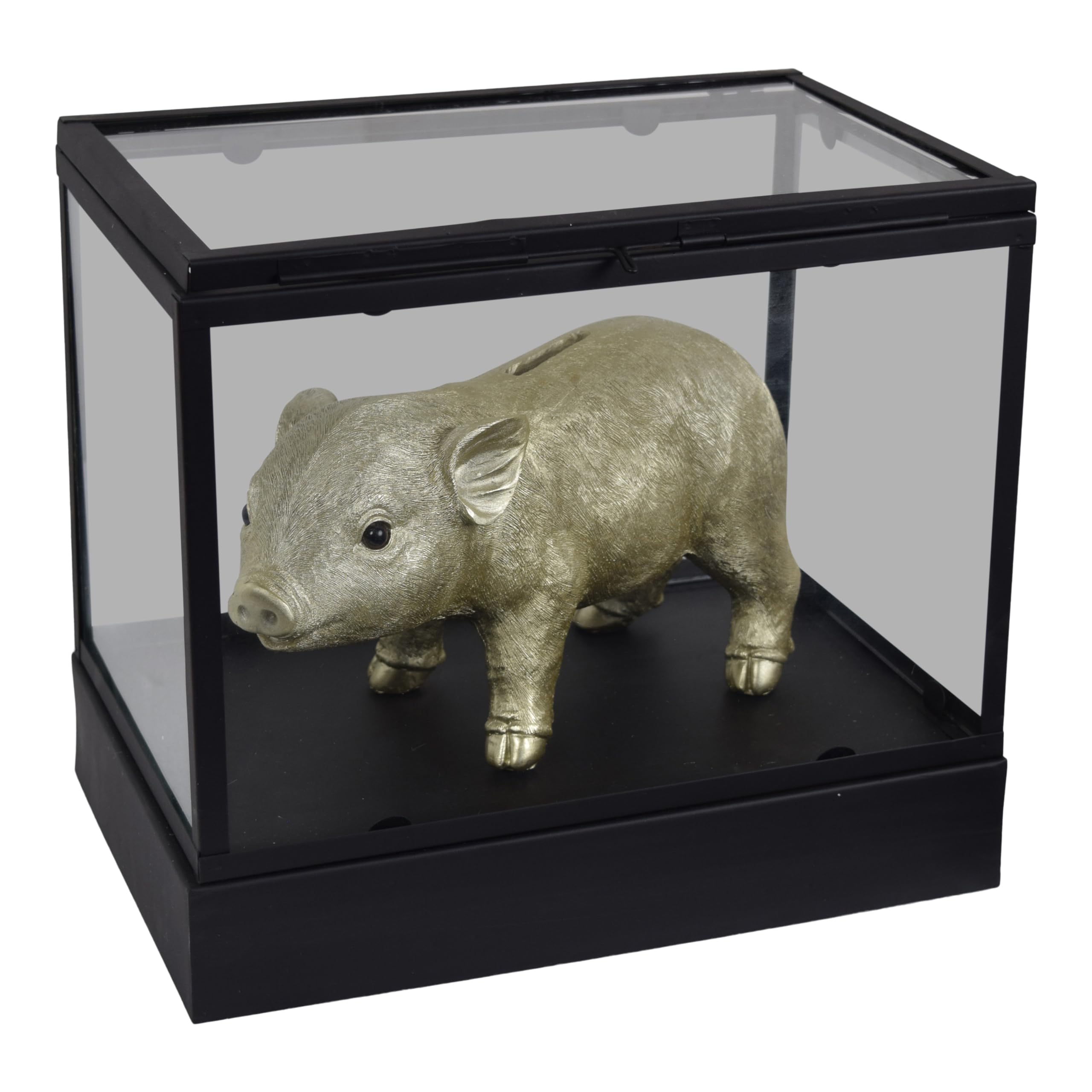 LOFT42 Showy Glass Display Box