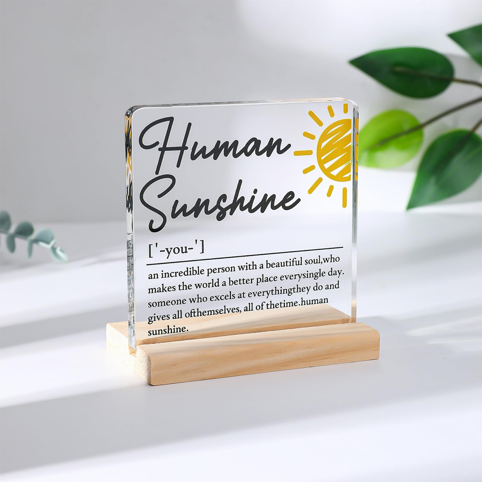 Human Sunshine Appreciation Gifts for Coworker - Motivational Clear Desk Decor Thank You for Women Men Inspirational Quotes Office Sign (4 x 4 Inches)