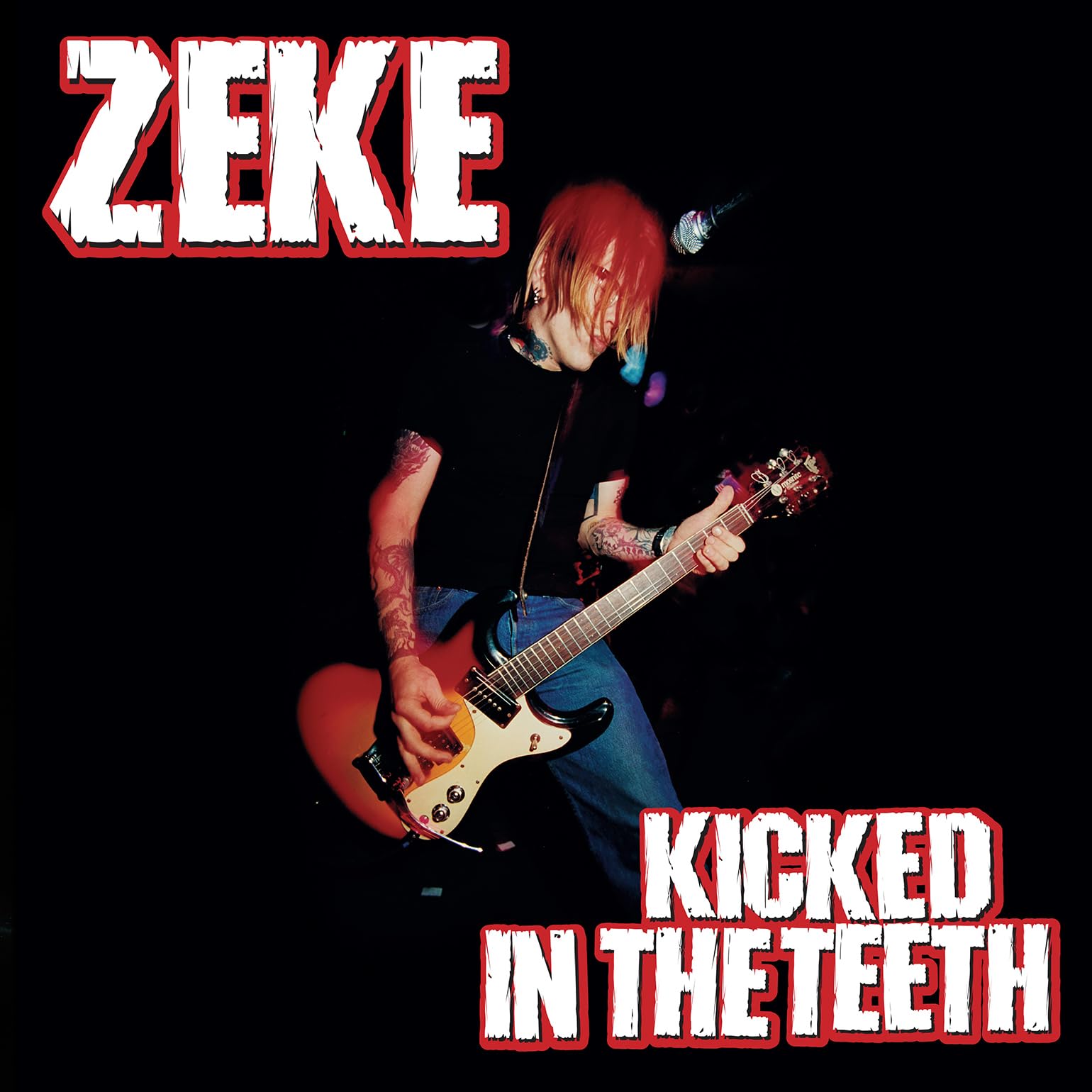 Kicked In The Teeth [VINYL]