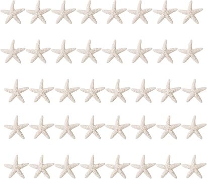 LJY 40 Beige Resin Starfish, 1.2 Inch for Wedding Decor