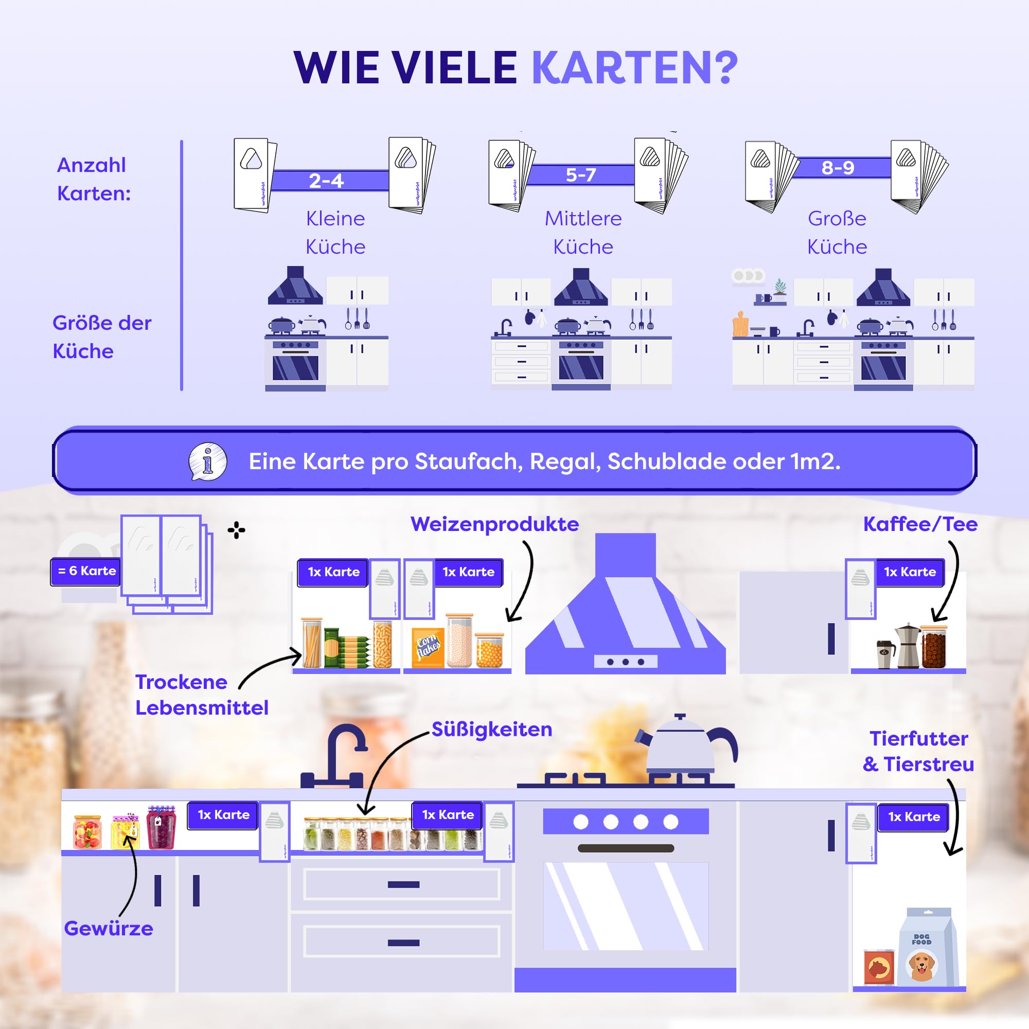 Wolkenfeld Schlupfwespen gegen Lebensmittelmotten – 32 Karten (8 Karte à 4 Lieferungen) – Effektive & Chemiefreie Mottenbekämpfung – Natürliche Alternative zu Mottenfallen, Sprays & Pheromonfallen