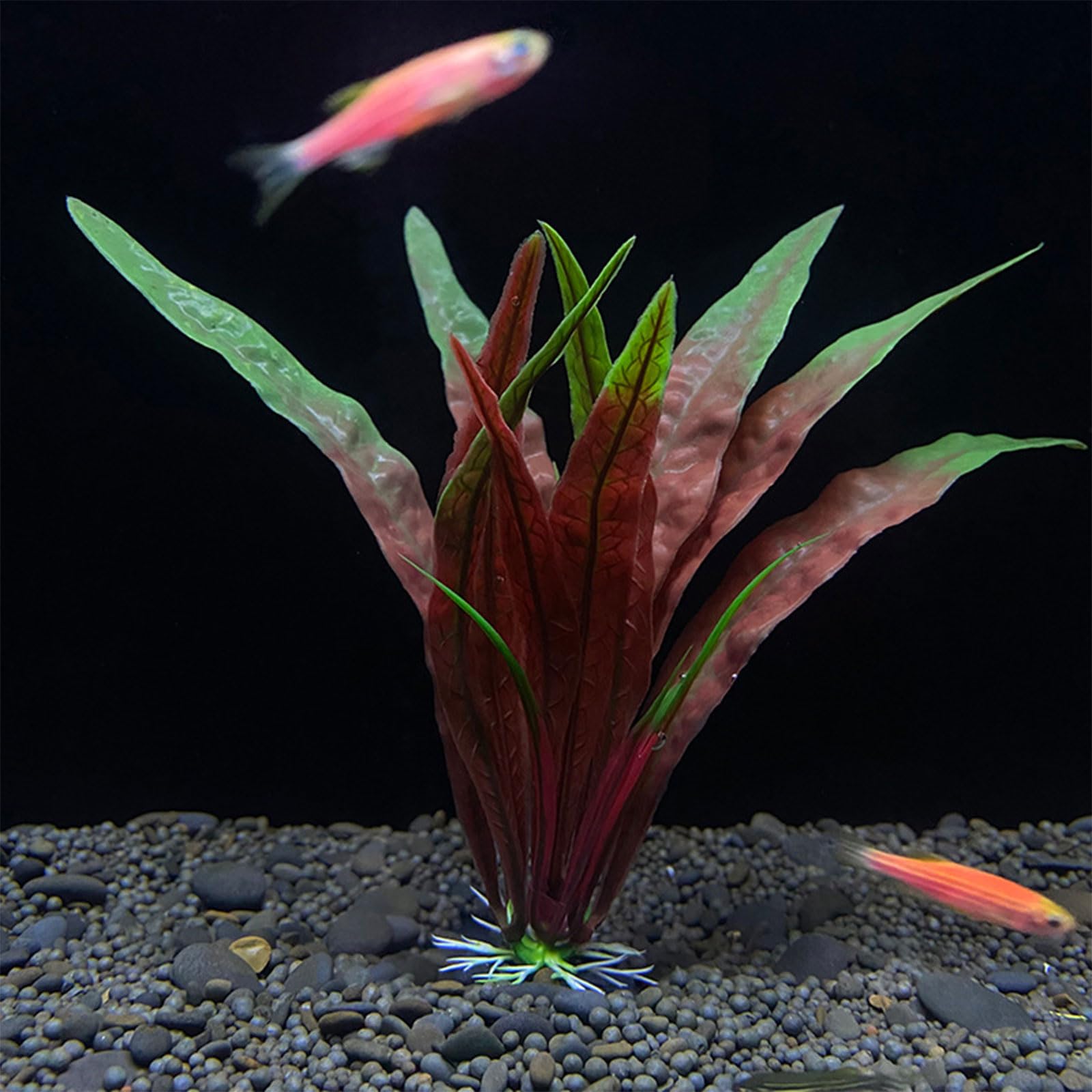 Haiki Plante aquatique artificielle pour décoration d'aquarium