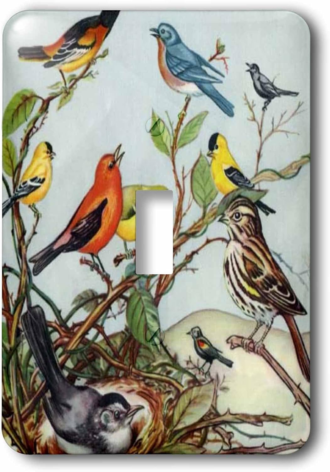 3D Rose lsp_183360_1 Ten Birds Cartoon - single Toggle Switch