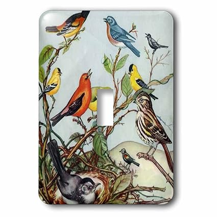 3D Rose lsp_183360_1 Ten Birds Cartoon-Single Toggle Switch