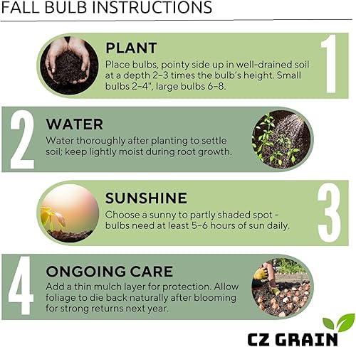 Miniatura 10 de Bulbos de tulipán rosa "Big Love" para plantar, fáciles de cultivar, fabricados en Estados Unidos, se envía desde Iowa (5 bombillas)