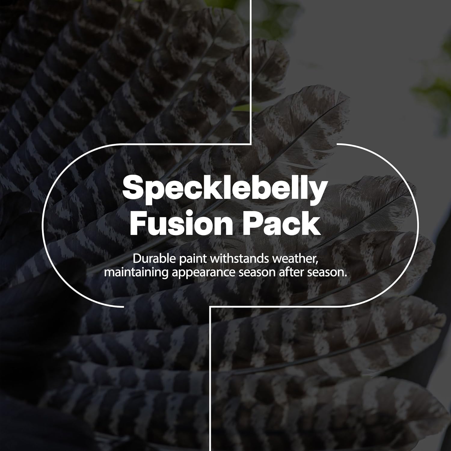 Avian-X AXP Specklebelly Decoy Fusion Pack with Lasting Finish and Custom Fitted Bag for Hunting Use, Outdoor Sports, and Recreation, 12 Pack