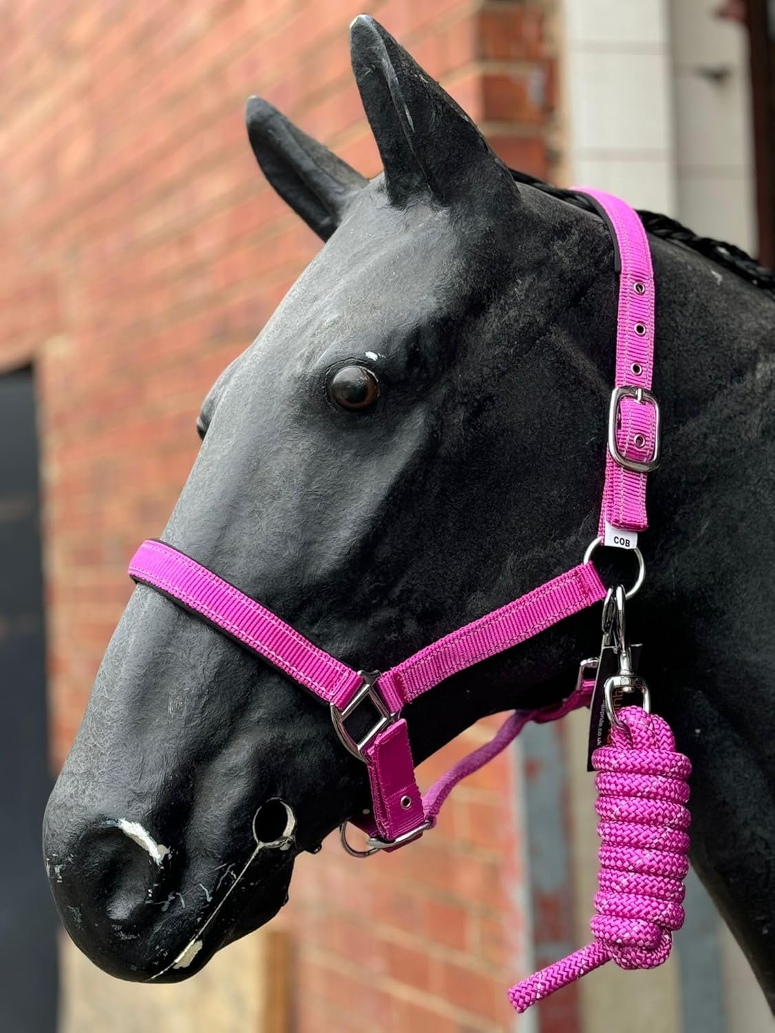 Equipride Reflective Headcollar and Lead Rope Set Neoprene Padded Full-Shetland Neon Pink (Mini Shetland)