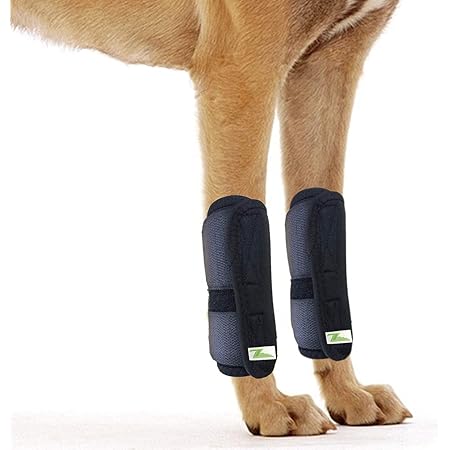 Amazon Com Dog Leg Brace One Pair Heals Hock Joint Wrap Sleeve For Front Legs M Front Pet Supplies