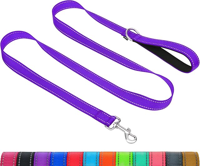 Taglory Reflective Dog Training Lead, Neoprene Padded Handle and Metal Hook, 1.2 m x 2.0 cm Nylon Leash for Small Dogs, Purple