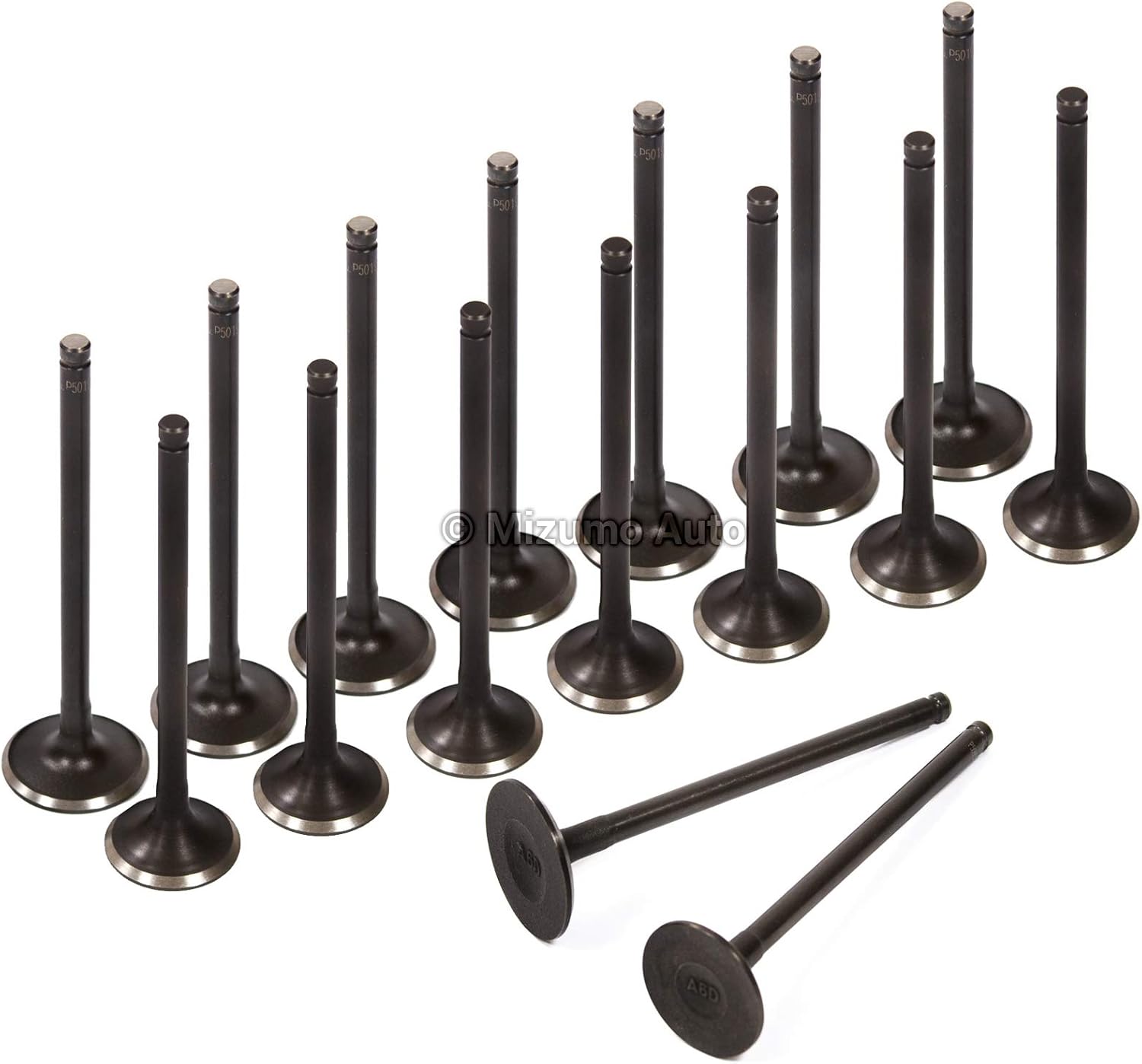 Evergreen IEV6029L Compatible With 03-05 Kia Rio 1.6L DOHC A6D 16V Intake Exhaust Valves