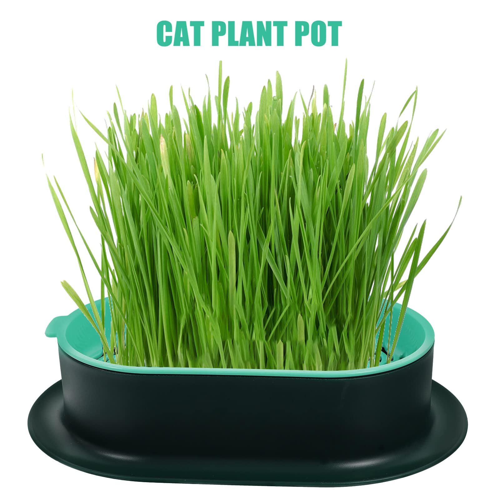 Happyyami 5pezzi Fioriera Per Di Gatto Creativa Da Contenitore Idroponico Leggera e Durevole Vassoio Per Coltivazione Senza Per Interni e Uso Domestico