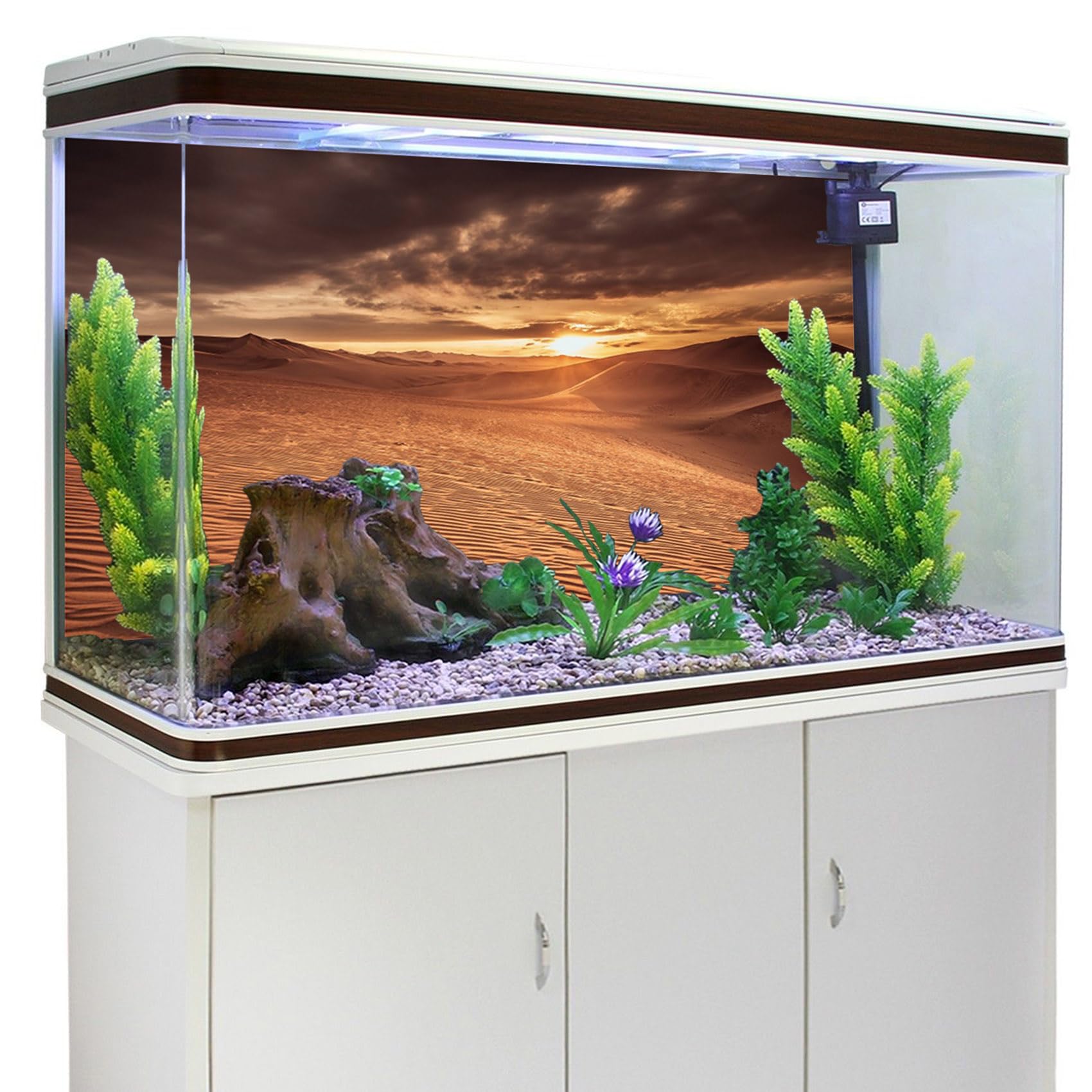 61x41cm Woestijnduin Reptiel Terrarium Aquarium