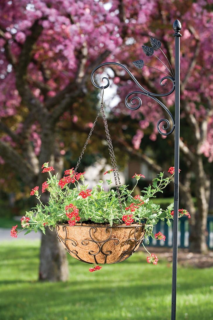 Panacea Products Cameo Series 14-Inch Hanging Basket, Cameo Brown
