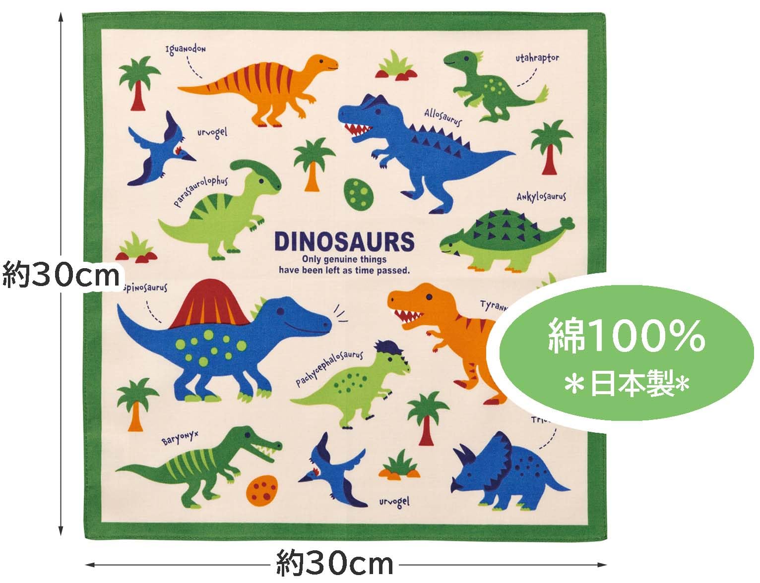 30日限定16666→14444医師 楽天コレクション BIGハンカチ 30日限定