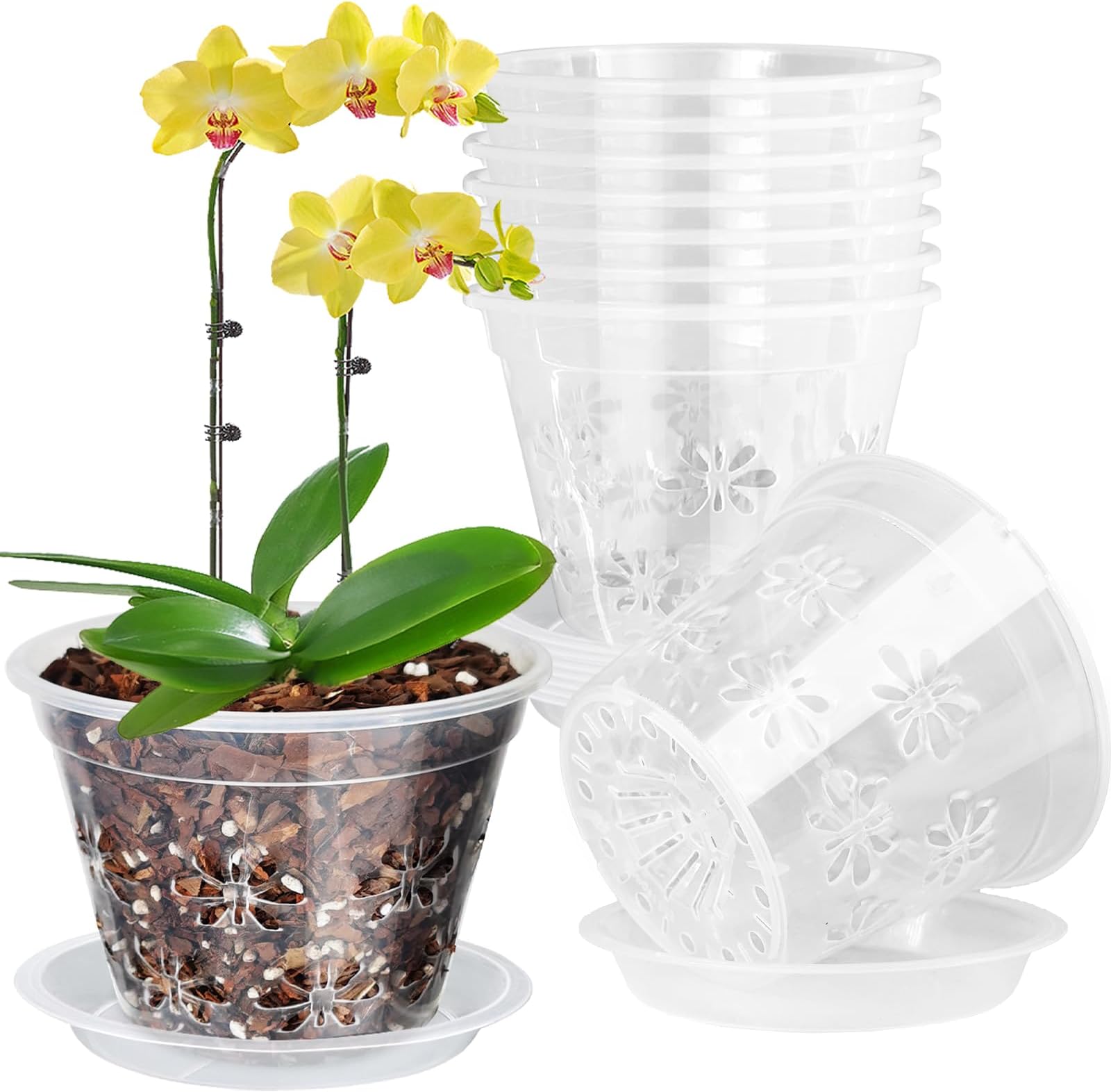 Orchid Pot, 8 Pack 5 inch Orchid Pots with Holes & Saucers, Clear Plastic Pot for Repotting, Breathable Ventilation Planters for Phalaenopsis, Dendrobium & Oncidium Orchids