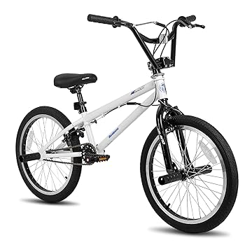 BMX 街乗り 20inch bmx 20インチ」の人気商品一覧 | 安い商品を通販サイトから探す