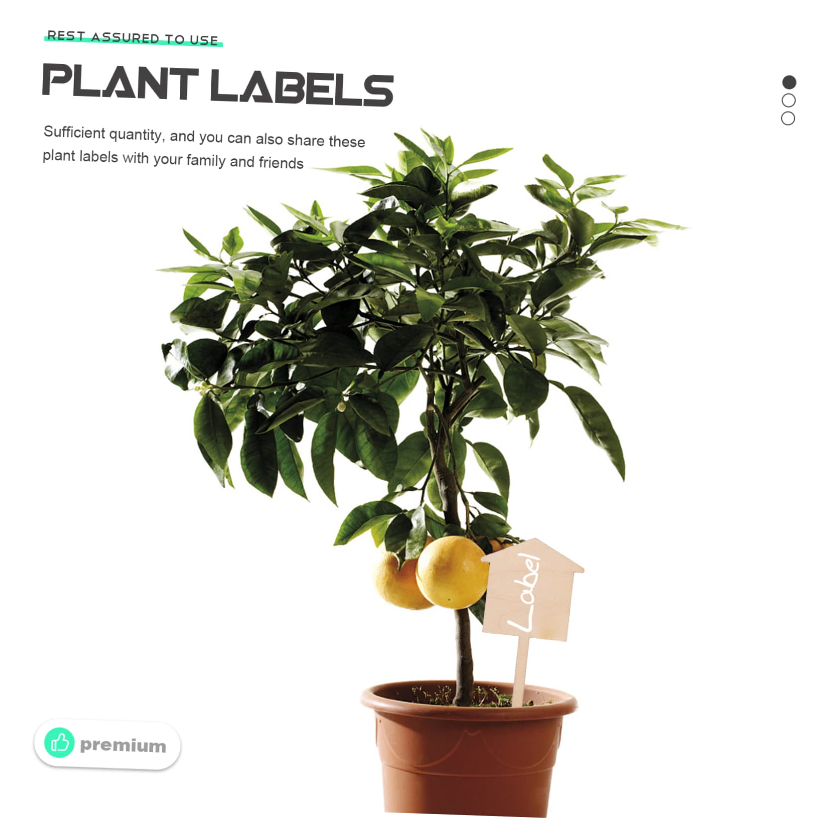 BESPORTBLE 3 Ensembles Étiquettes Pour Plantes Étiquettes Pour Plantes De Jardin Marqueurs Pour Pots De es D'Intérieur Étiquettes Pour es Ornements Pour Piquets 50 pièces * 3
