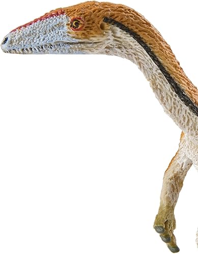 Miniatura 7 de Safari Ltd. Figura de Coelophysis - Figura detallada de dinosaurio carnívoro de 7.25 pulgadas, juguete educativo para niños, niñas y niños a partir
