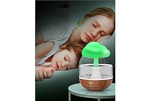 Weljoy Zen Raining Cloud Night Light Aromatherapy Essential Oil Diffuser Micro Humidifier...