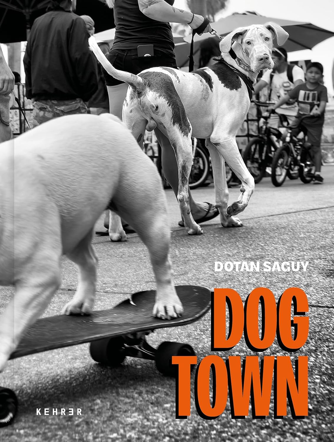 DOGTOWN: The Pups of Venice Beach and Their Humans      Hardcover – June 25, 2024