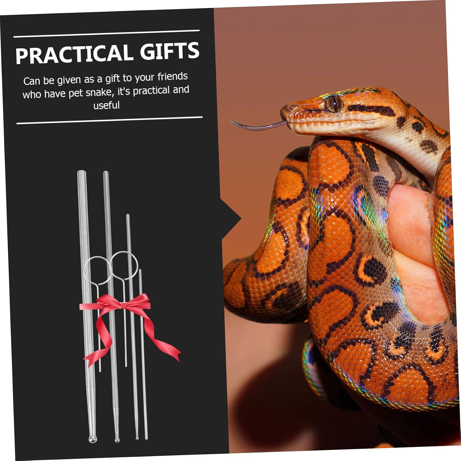 VANZACK 6pcs Snake Gender Detector Probe Durable Gender Probe for Reptiles for Breeding and Hatching Detection Safe for Corn and King Snakes
