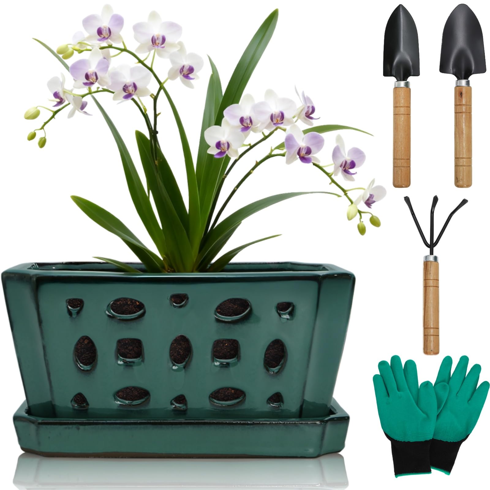 Amazon.com: Pumtus Ceramic Orchid Pot with Saucer & Holes, Large